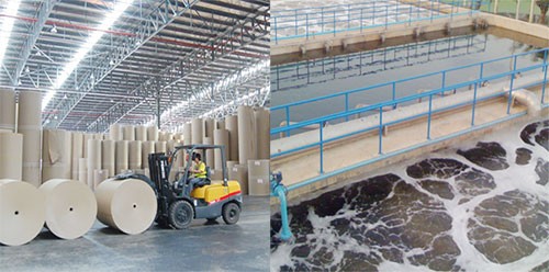 Hệ thống xử lý nước thải cho Nhà máy sản xuất Giấy và Bột giấy