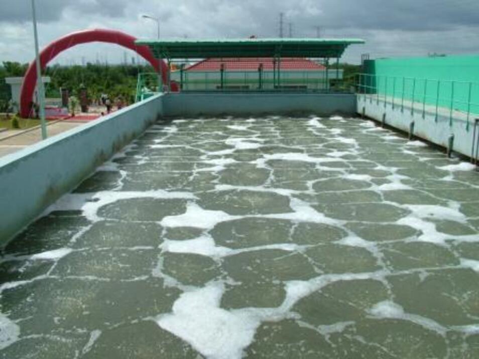 he thong xu ly nuoc thai dieu luu 1724943167jpg