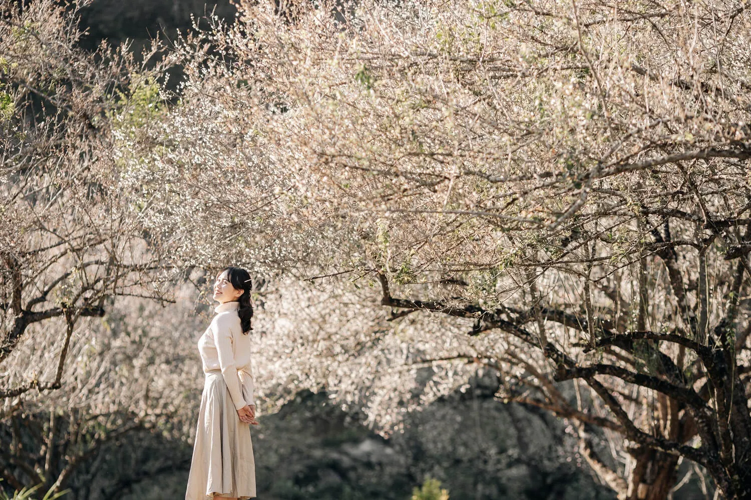 kham pha 12 dia diem du lich he 2024 hot nhat hien nay mJ3hQj7IH