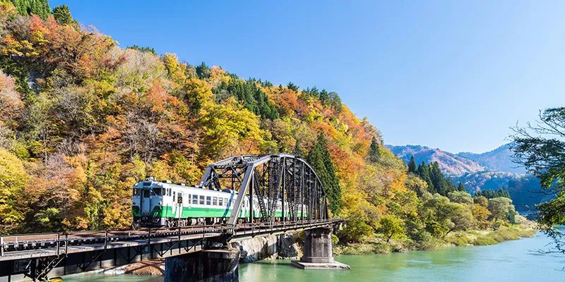 kinh nghiem du lich nhat ban tu tuc tron bo tu a z moi nhat 2024 dik0Kbf97