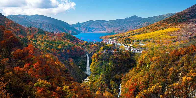 kinh nghiem du lich nhat ban tu tuc tron bo tu a z moi nhat 2024 y49BWB9H4