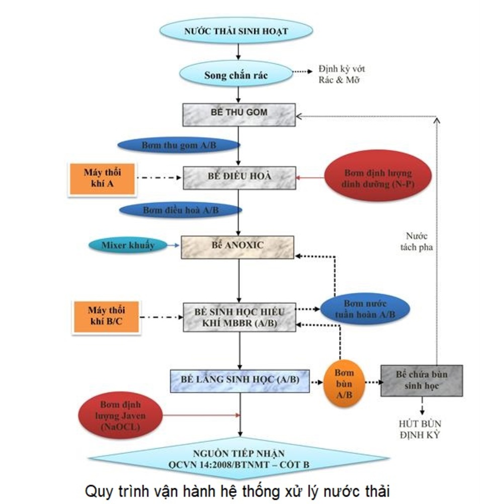 quy tr1 1724943155JPG