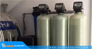 Chủ nhà mệnh Mộc nên dùng Máy lọc nước tổng và Máy lọc nước uống loại gì?