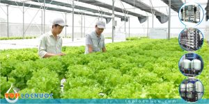 Hệ thống lọc nước công nghiệp ứng dụng trong Trang trại nông nghiệp