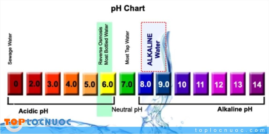 Nước Alkaline là gì? Tác dụng và Quy trình tạo ra nước Alkaline