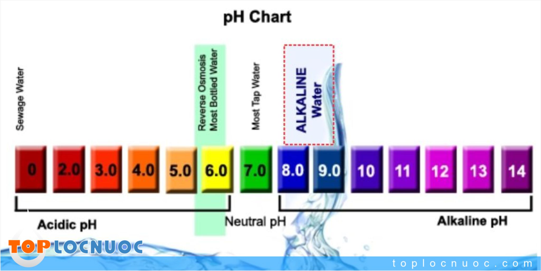 Nước Alkaline là gì? Tác dụng và Quy trình tạo ra nước Alkaline