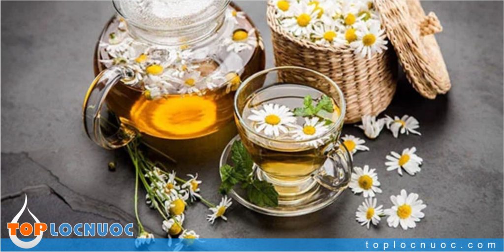 Trà hoa cúc pha bằng nước ion Kiềm đem lại hiệu quả tuyệt vời