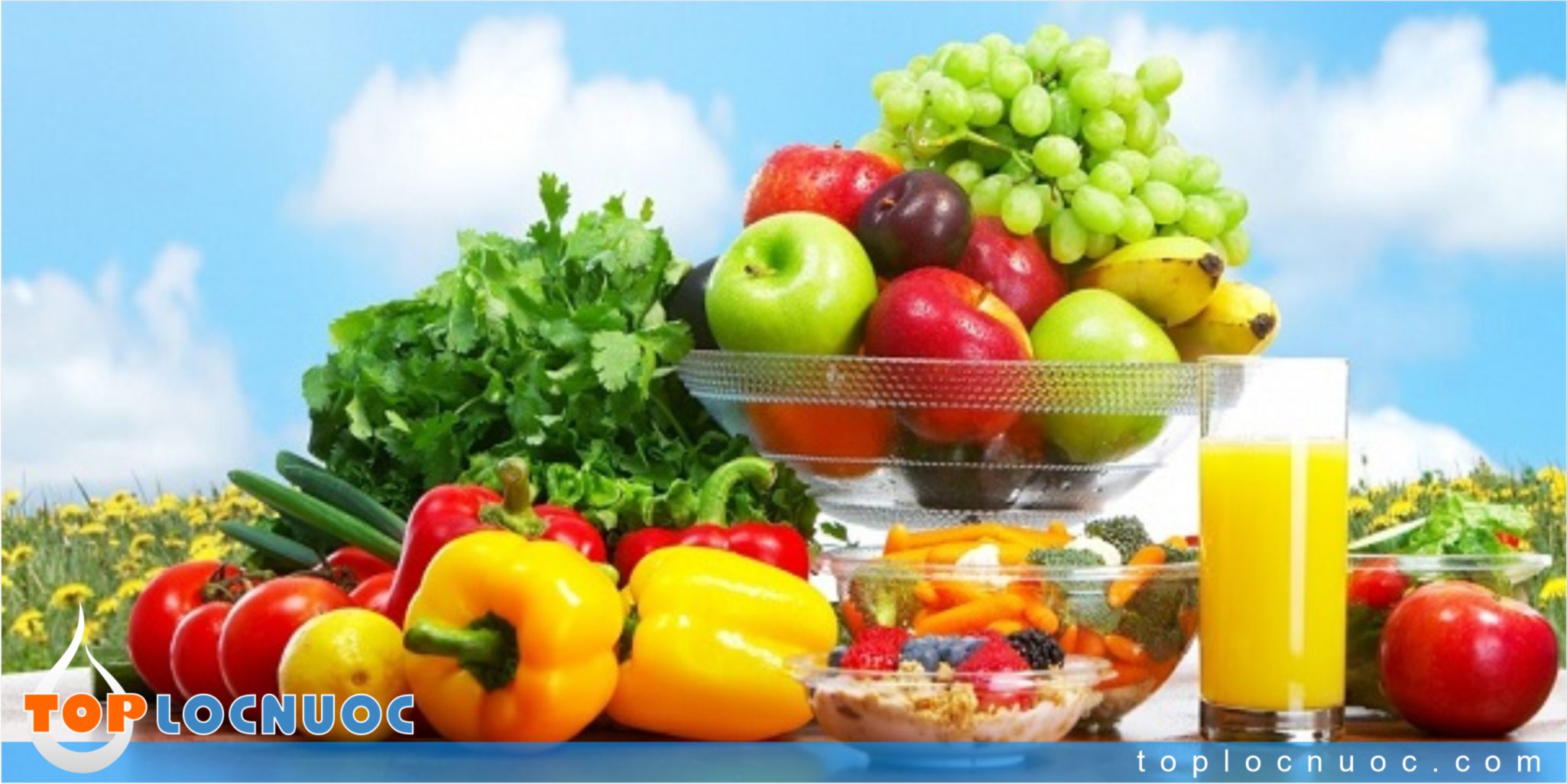 Hướng dẫn chọn thức ăn giàu tính kiềm tốt nhất cho cơ thể