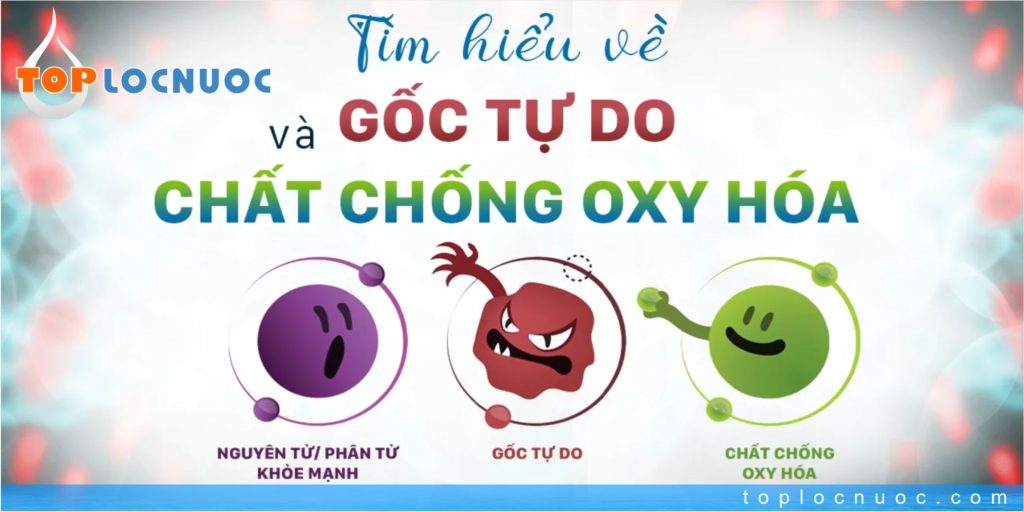 Oxy hoá là gì? Cách phòng chống oxy hóa hiệu quả nhất