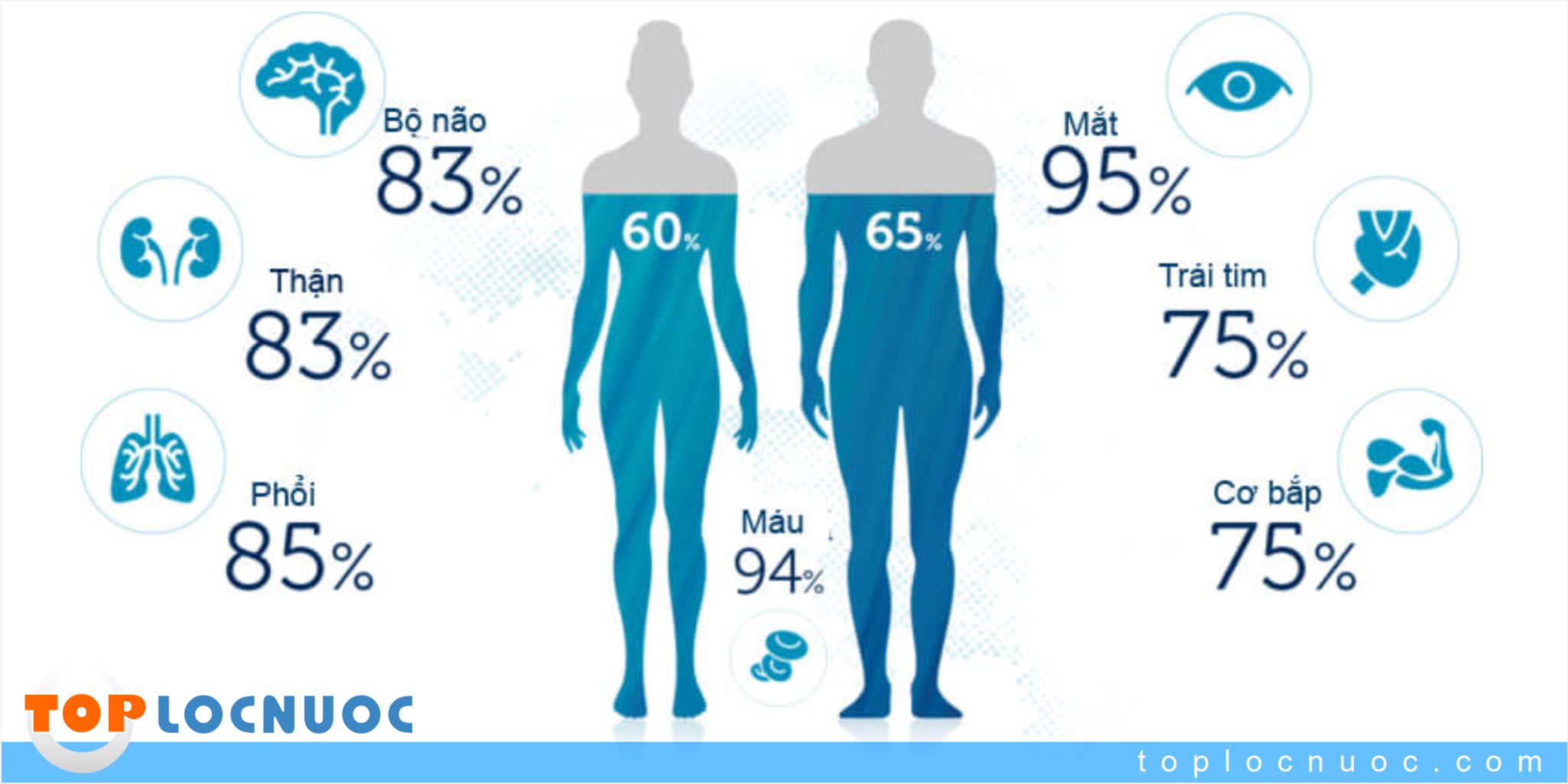 Hàng ngày bạn cần uống bao nhiêu nước và nên uống loại nước nào?