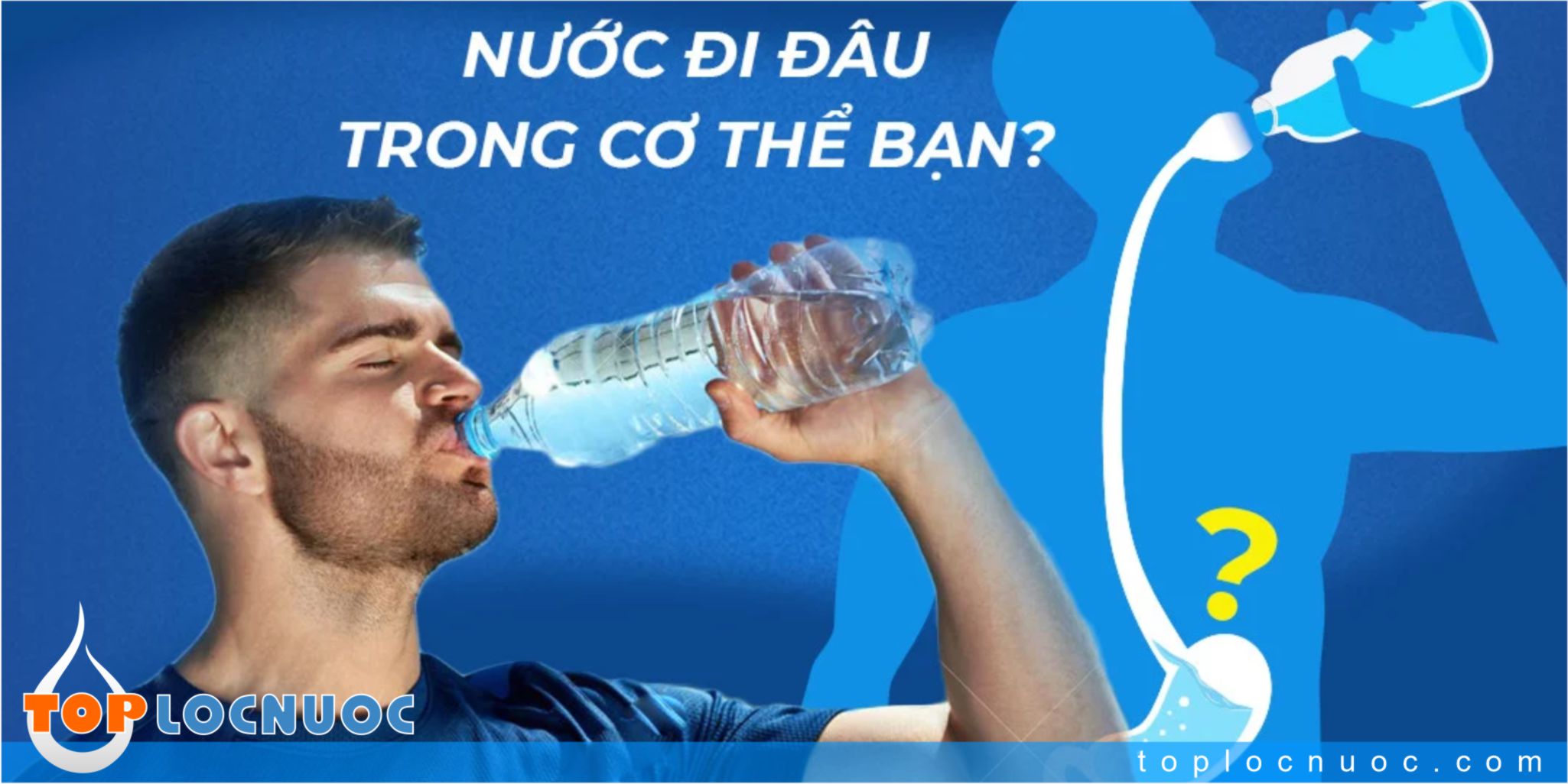 Hành trình của nước sau khi uống trong cơ thể bạn diễn ra thế nào?