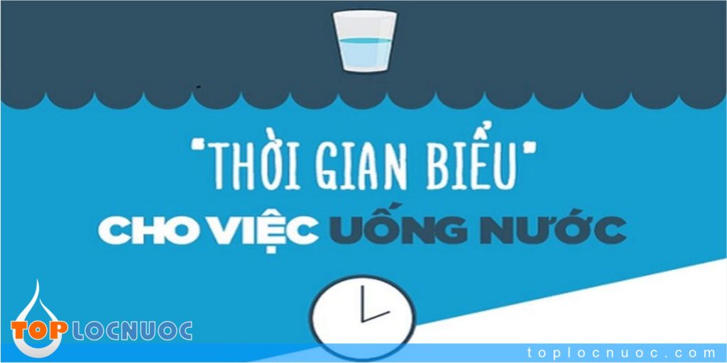 Thời gian tốt nhất trong ngày để uống nước là khi nào?