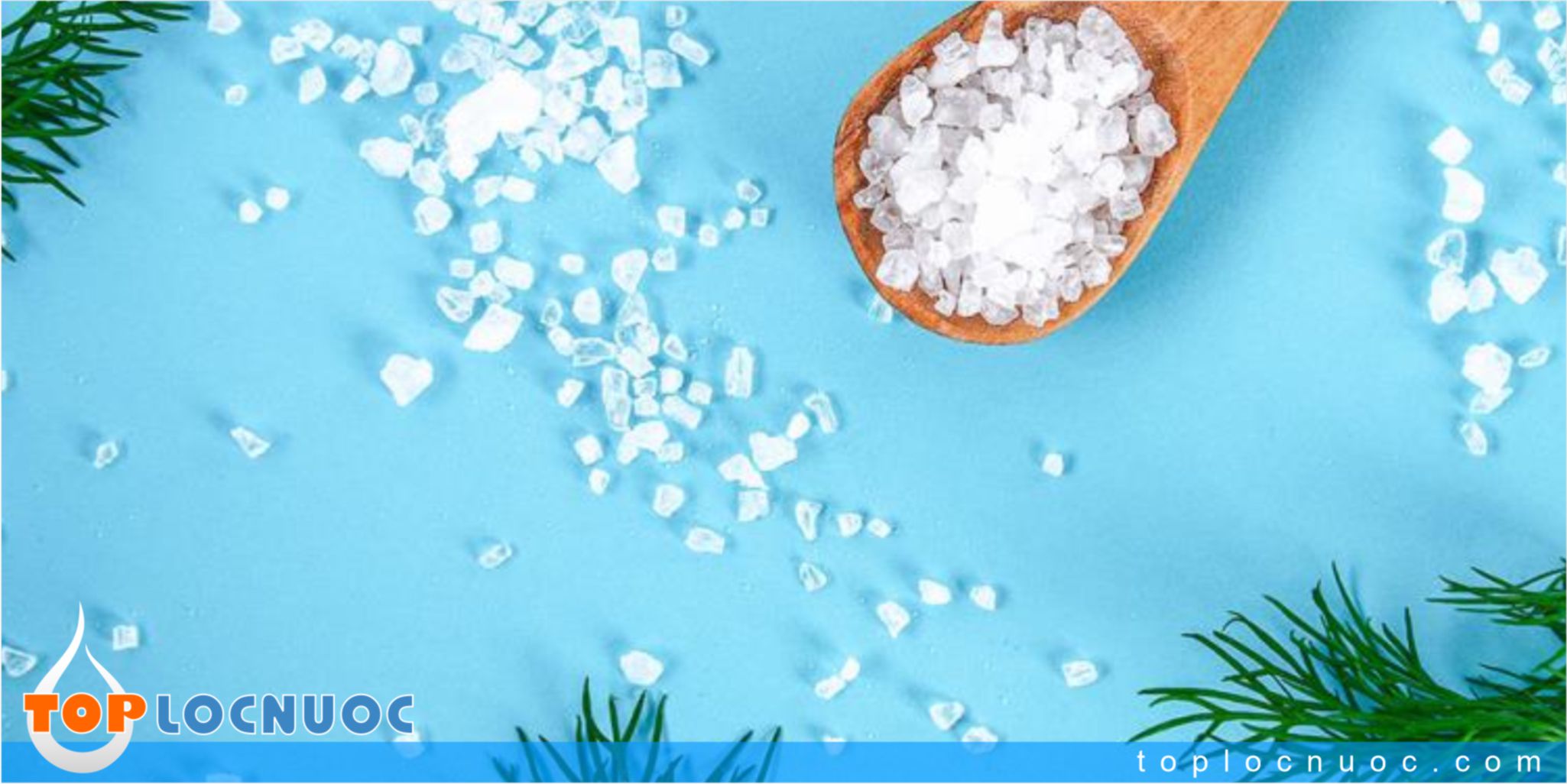 Natri là gì? Tầm quan trọng của natri đối với cơ thể ít người biết