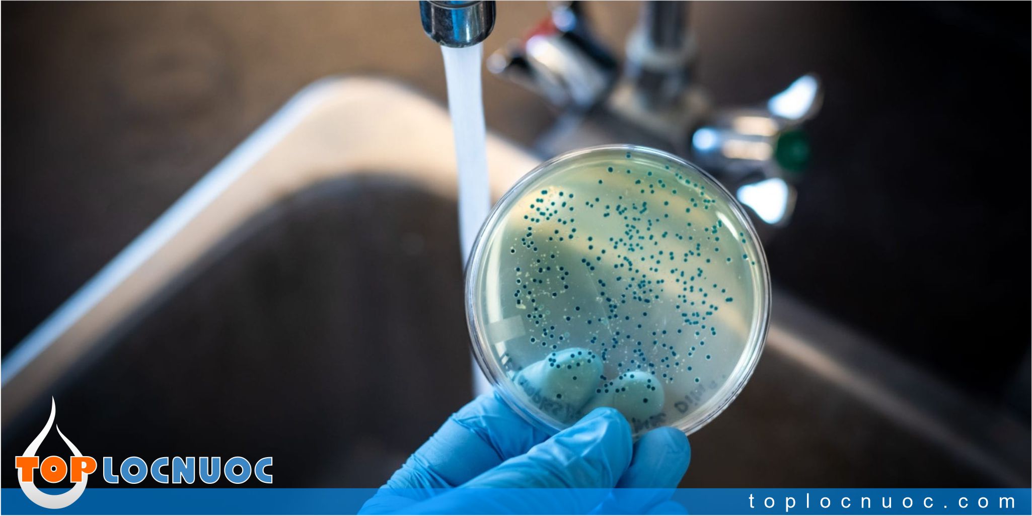 Cách loại bỏ nguy cơ gây bệnh từ vi sinh vật bằng máy lọc nước