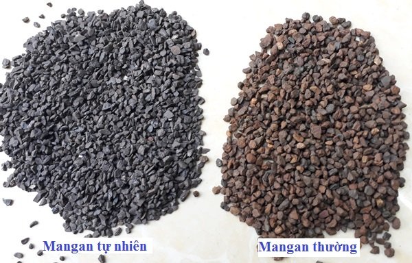 Hạt Mangan