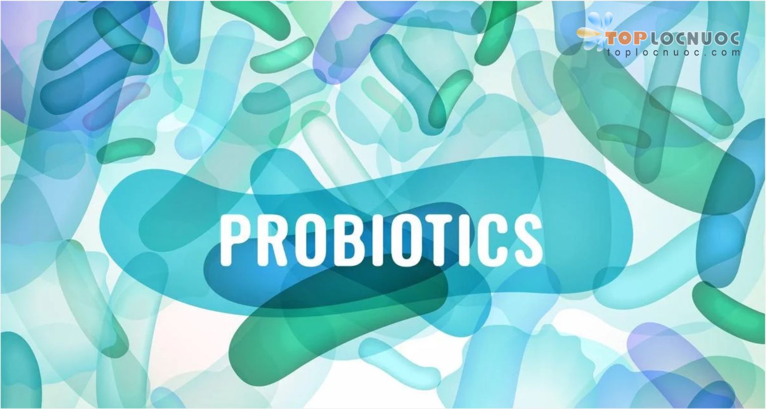 5 Tác dụng của Probiotic với phụ nữ