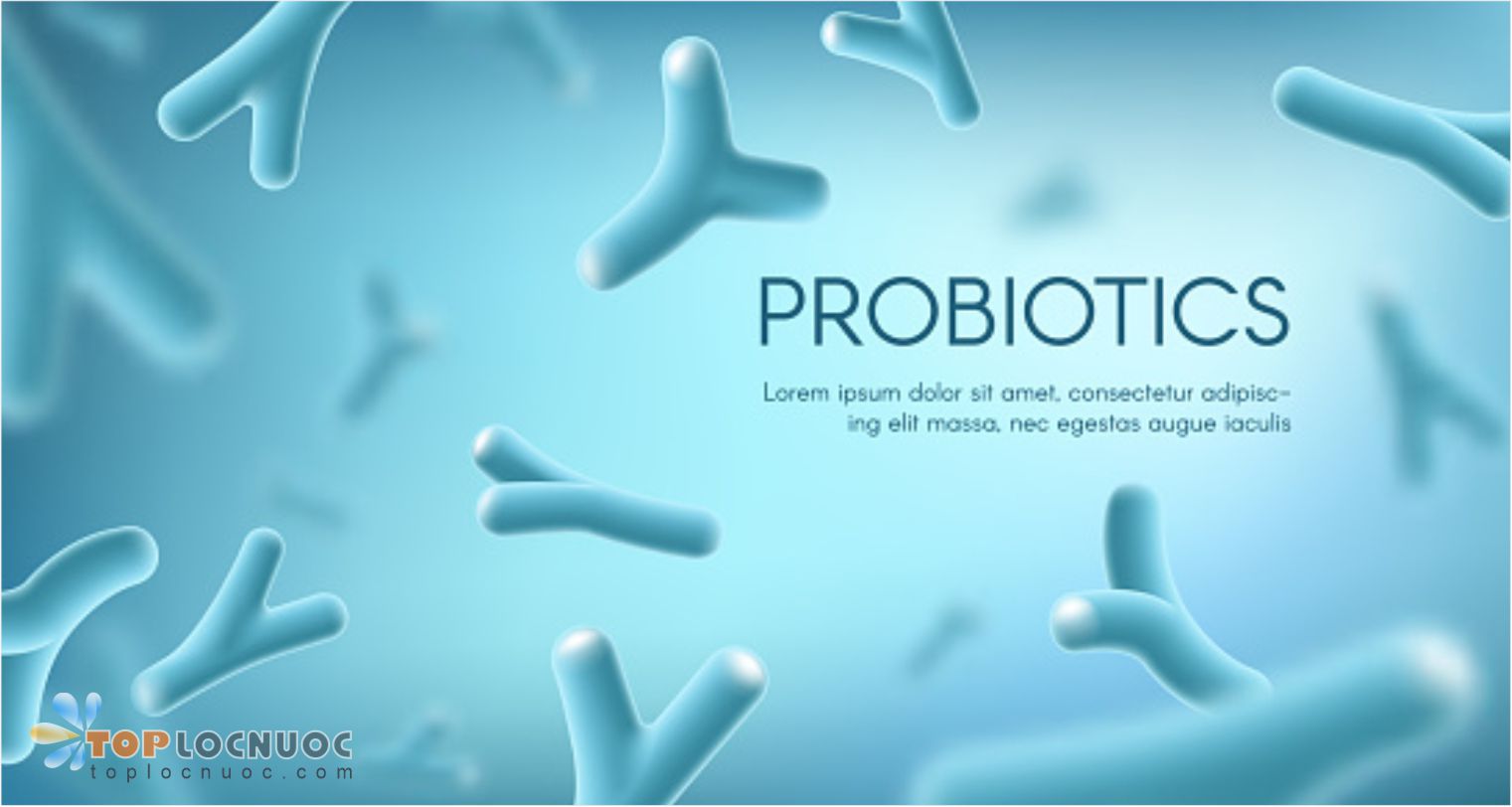 5 Tác dụng của lợi khuẩn Probiotics hỗ trợ đường ruột hiệu quả