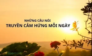 5 Câu chuyện truyền cảm hứng hay nhất giúp sống tốt hơn mỗi ngày