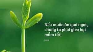 Luật nhân quả và tác động của nó trong đời sống hàng ngày