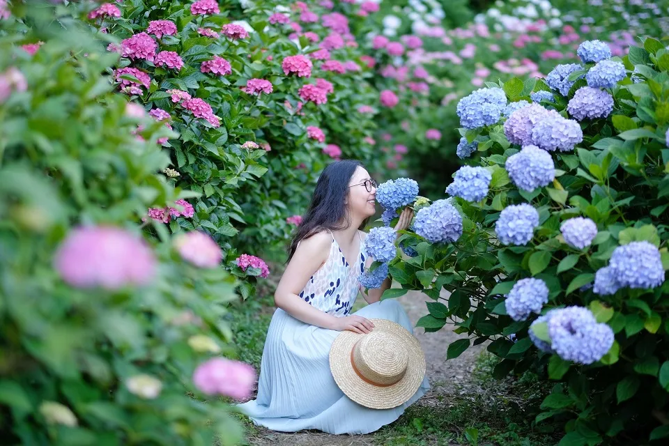 Tháng 6 là mùa gì? Thời tiết tháng 6 có đặc điểm gì nổi bật?