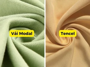 So sánh vải Modal và Tencel: Ưu nhược điểm và ứng dụng