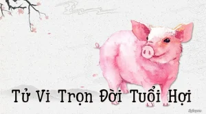 Từ A đến Z về tuổi Hợi: Tính cách, sự nghiệp, tài vận và số mệnh