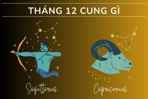 Tháng 12 cung gì? Khám phá bí ẩn về cung hoàng đạo tháng 12