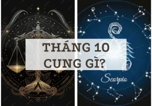 Tháng 10 cung gì? Tìm hiểu bí ẩn về cung hoàng đạo tháng 10