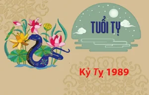 Tuổi Kỷ Tỵ sinh năm 1989 – Luận giải Tổng quát Tử vi trọn đời Nam Nữ mạng