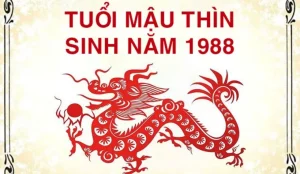 Tuổi Mậu Thìn sinh năm 1988 – Luận giải Tử vi trọn đời đối với Nam Nữ mạng