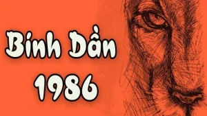 Tuổi Bính Dần sinh năm 1986 – Tử vi trọn đời Nam Nữ mạng có gì đặc biệt?