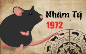 Tuổi Nhâm Tý sinh năm 1972 – Giải mã Tử vi trọn đời Nam Nữ mạng