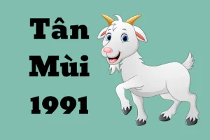 Người Tuổi Tân Mùi sinh năm 1991 thuộc mệnh gì, cung gì, tuổi con gì?