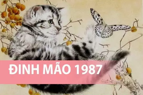 Tuổi Đinh Mão năm 1987 thuộc mệnh gì, cung gì, tuổi con gì?