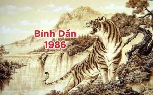 Tìm hiểu Tuổi Bính Dần năm 1986 thuộc mệnh gì, cung gì, tuổi con gì?