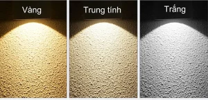 Nên mua đèn học ánh sáng vàng hay trắng để bảo vệ thị lực?