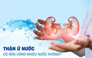 Thận ứ nước là gì? Cách phòng ngừa và điều trị ra sao?