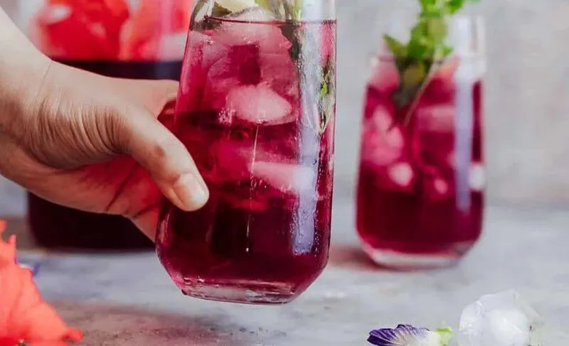 Nước lá tía tô có tốt không? Uống nước lá tía tô thay nước lọc được không?