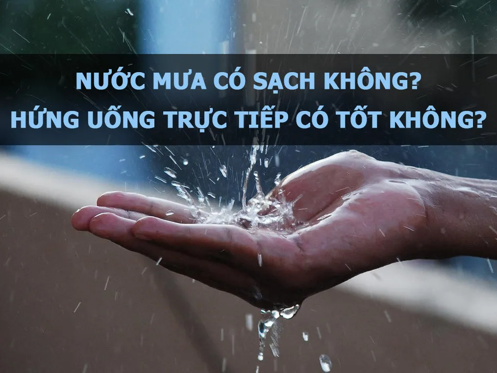 Nước mưa có sạch không? Có nên uống nước mưa trực tiếp không?