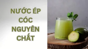 Nước ép cóc có tác dụng gì? Giá trị dinh dưỡng của nước ép cóc