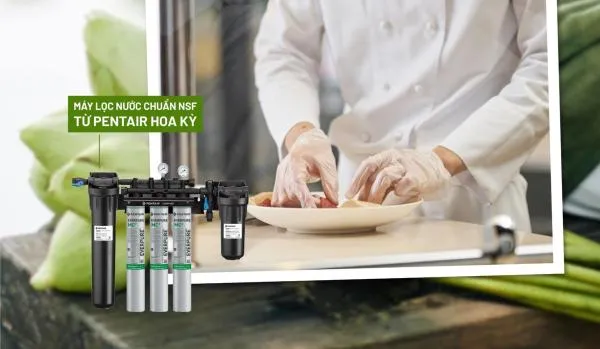 Máy lọc nước cho Máy pha cà phê Pentair Everpure ESO7