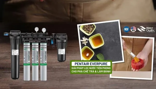 Máy lọc nước Pentair Everpure Everpure Twin MC2 cho quán Cà phê