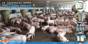 Hệ thống lọc nước công nghiệp, lọc nước giếng khoan trong Chăn nuôi