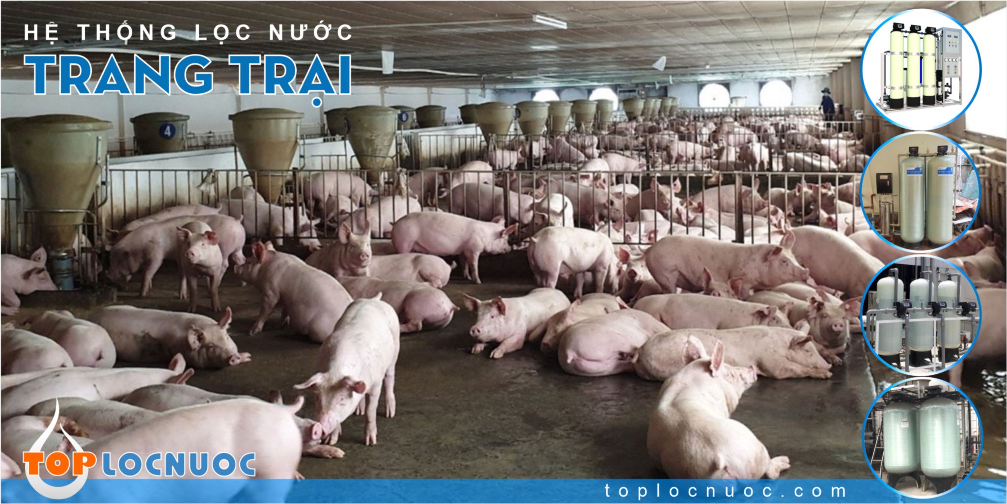 Hệ thống lọc nước công nghiệp, lọc nước giếng khoan trong Chăn nuôi