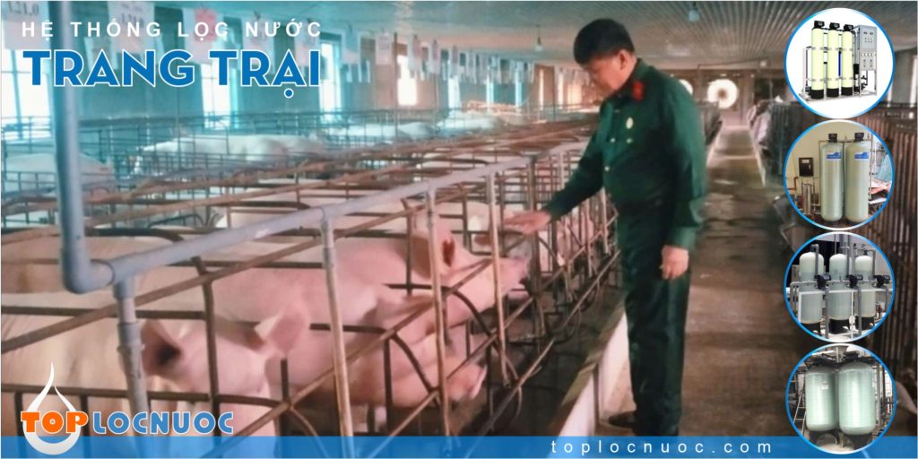 Cách chọn Hệ thống lọc nước công nghiệp trong ngành Chăn nuôi