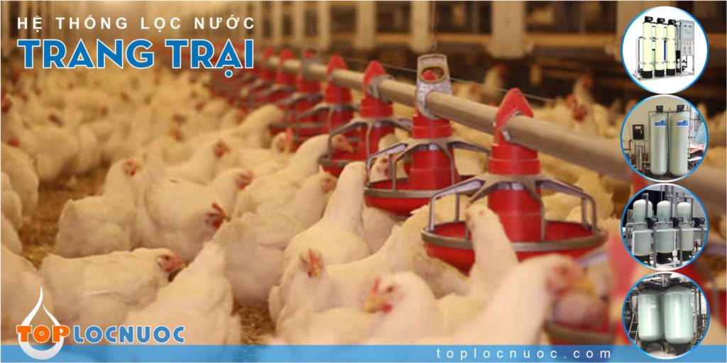 Tư vấn lắp đặt Hệ thống lọc nước trong ngành Chăn nuôi thuỷ hải sản