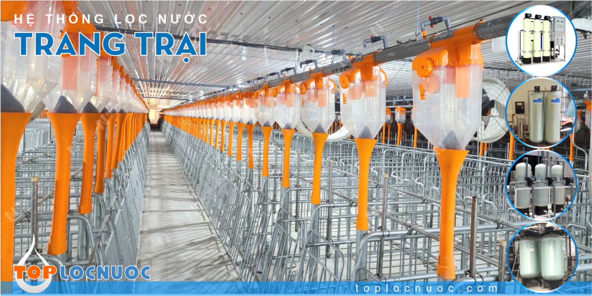 Trang trại chăn nuôi lắp đặt Máy lọc nước công nghiệp có lợi ích gì?