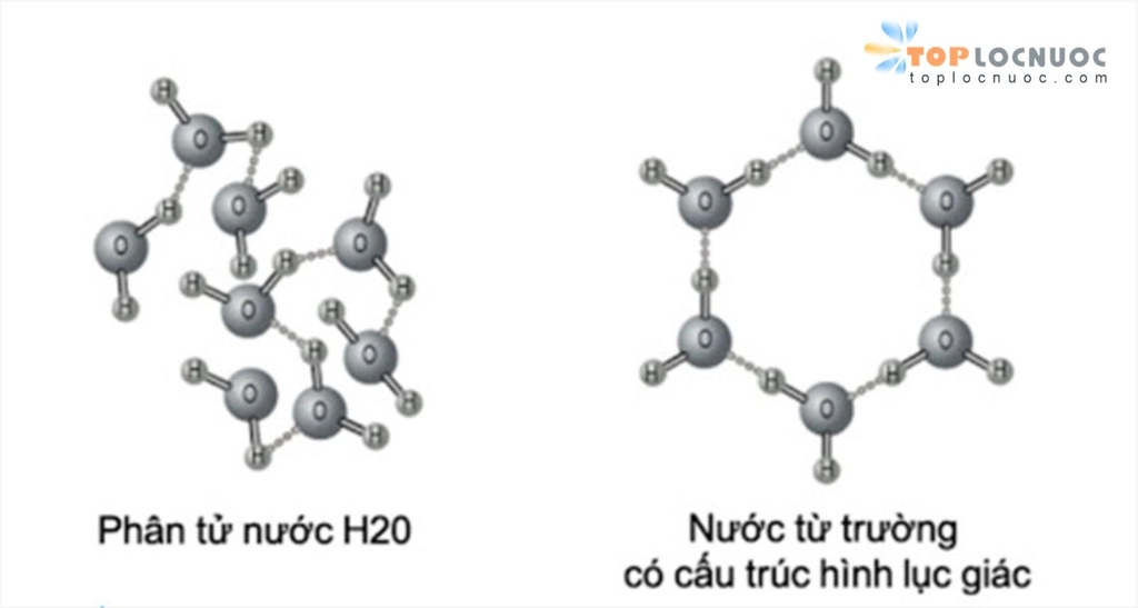Nước từ trường là gì? Tạo ra nước từ trường bằng cách nào?