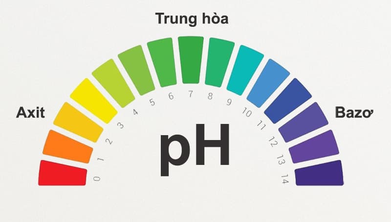 Độ pH trong nước là gì? Nên uống nước có độ pH bao nhiêu?