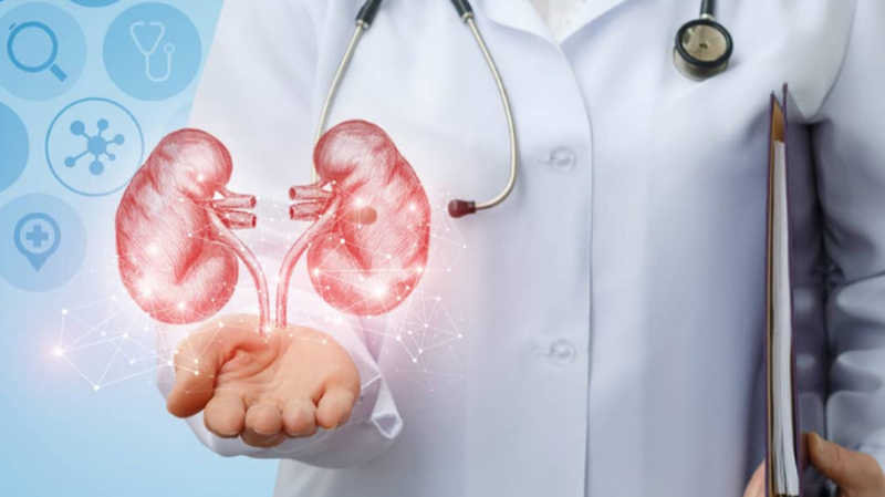 Uống đủ nước có thật sự ngăn ngừa sỏi thận không?